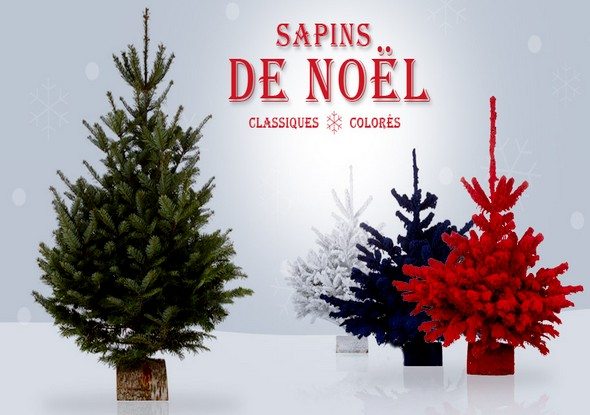 Vente privée de Sapins de Noël