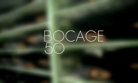 La marque de chaussures Bocage fête ses 50 ans !