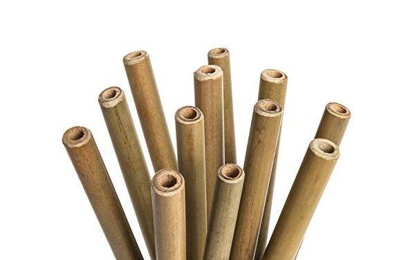 Pailles bambou réutilisables