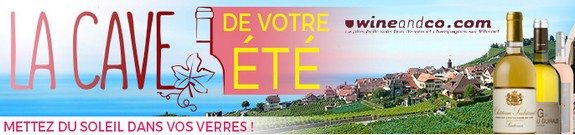 vente privee vin pas cher wineandco