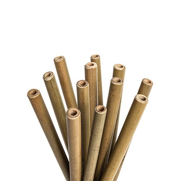 pailles bambou réutilisable écologique